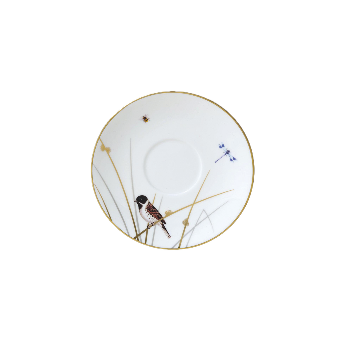 Tea Cup Saucer