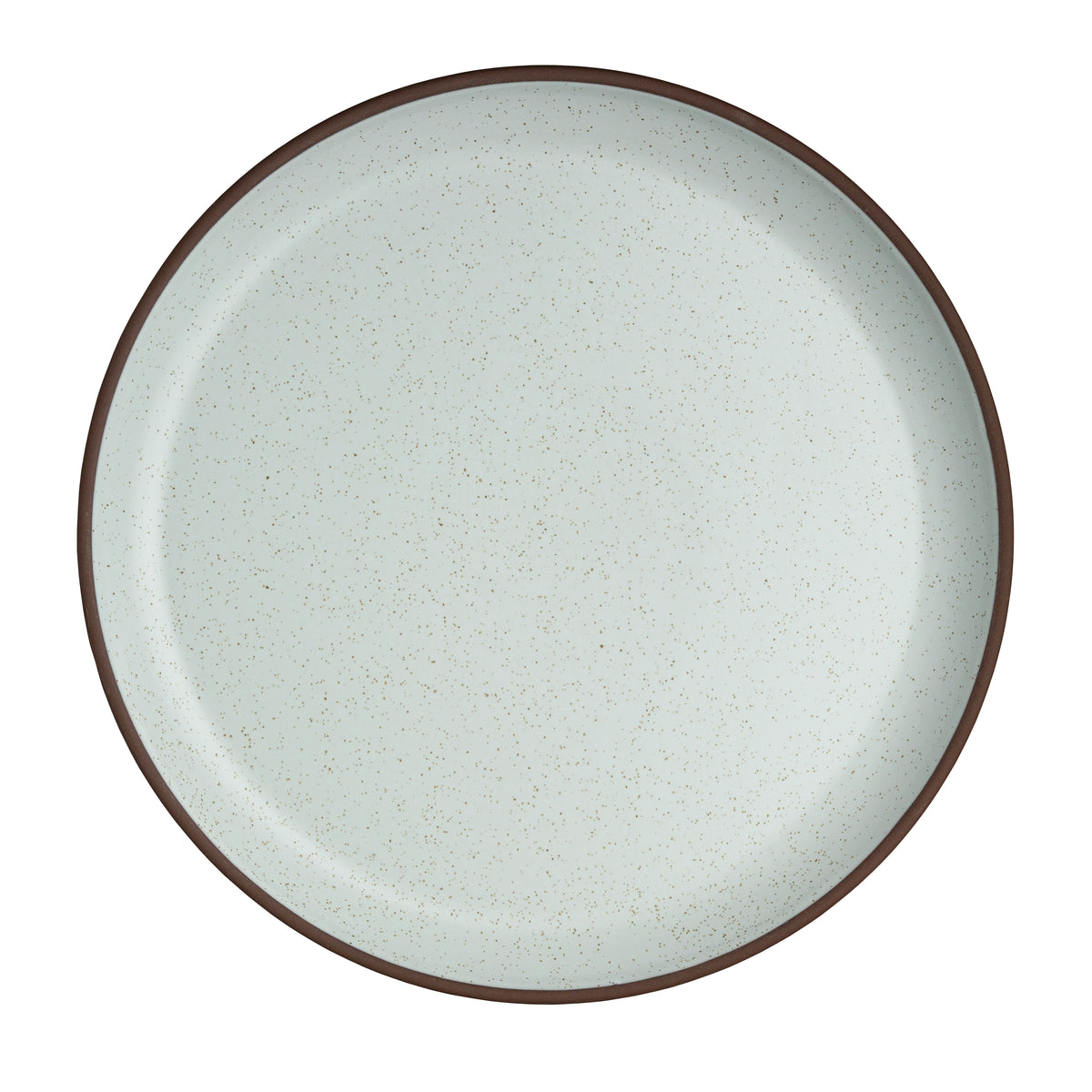 Plate 9.5"