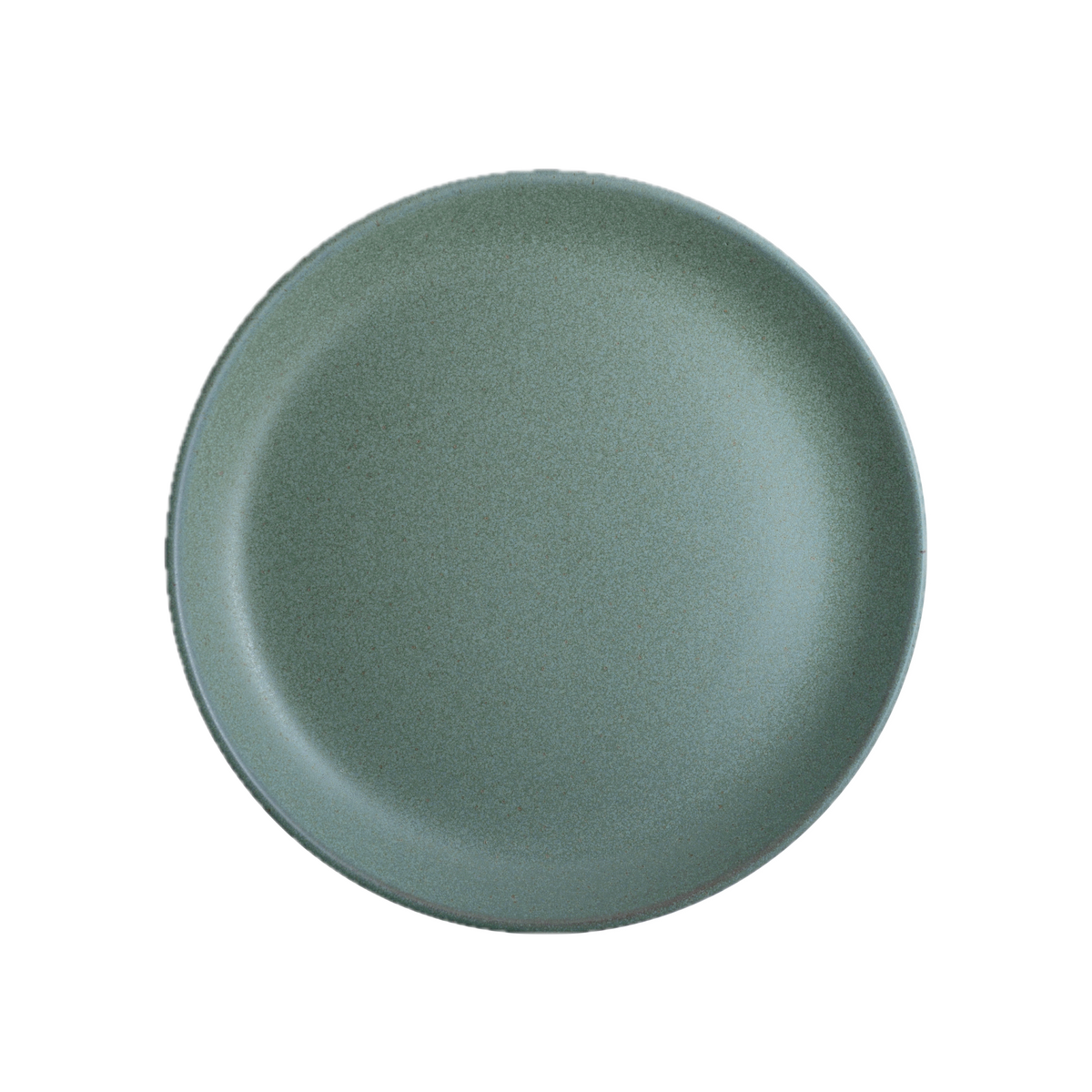 Coupe Plate 8 5/8"