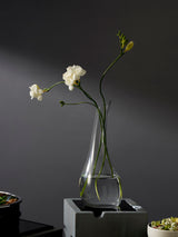 Dorado Free Formed Carafe 32 oz