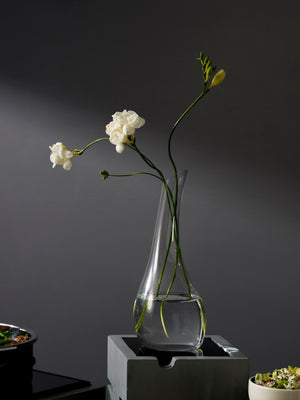 Dorado Free Formed Carafe 32 oz