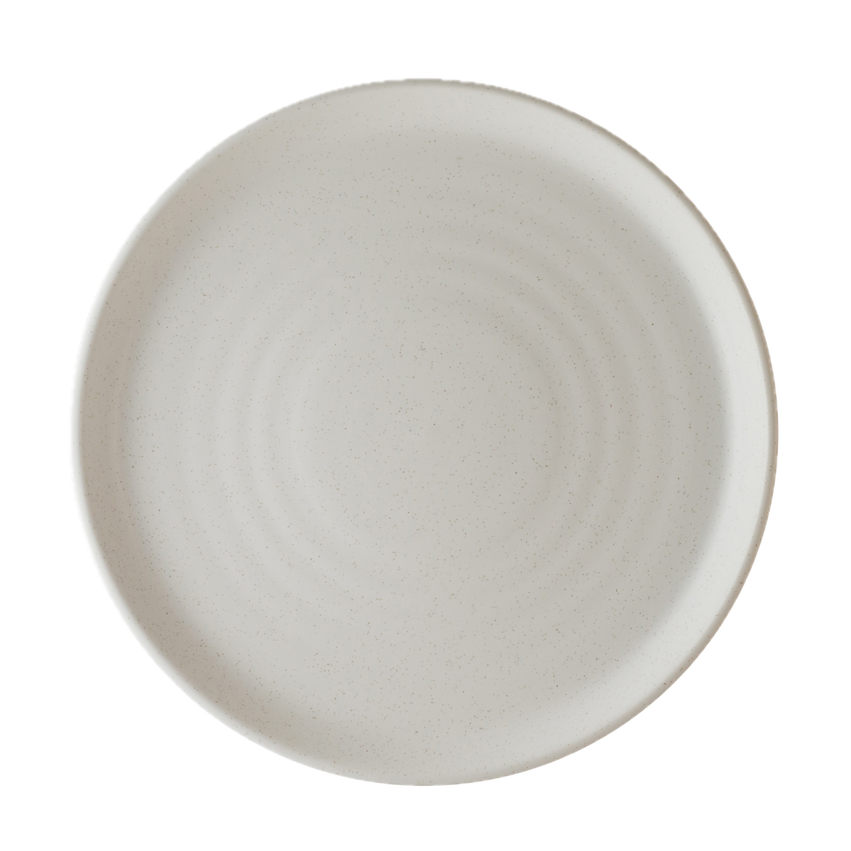 Plate 10.5"