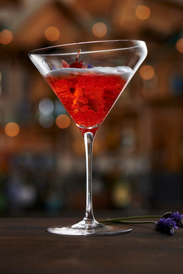 Edge Martini 13.5 oz