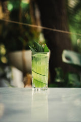 Marilyn Highball 11.75 oz