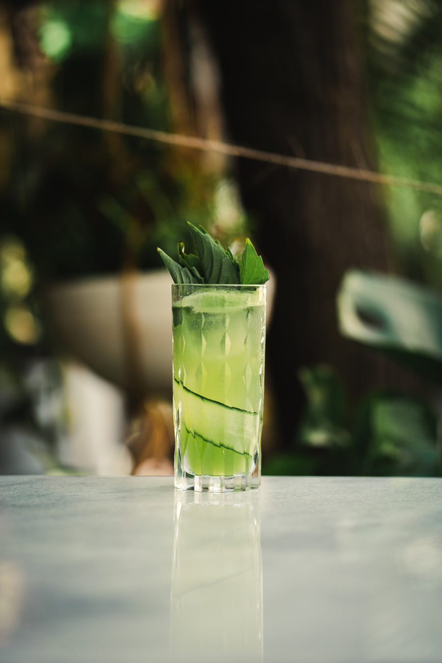 Marilyn Highball 11.75 oz