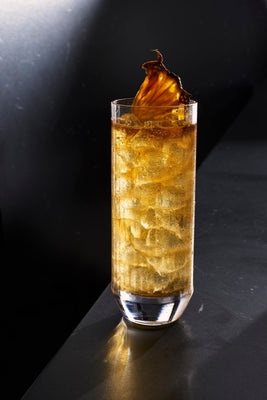 Big Top Highball 15oz