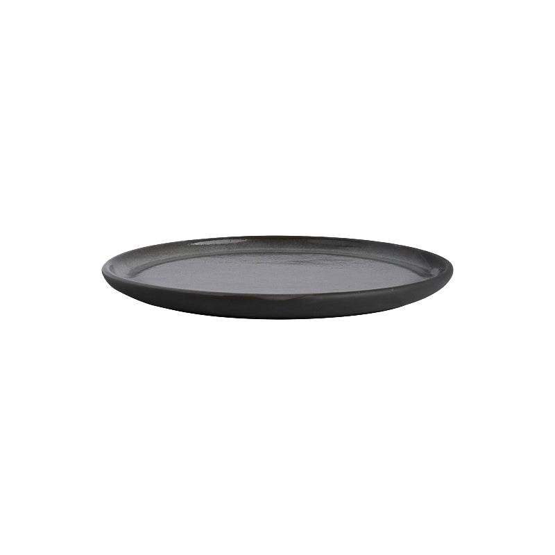 Plate 8"