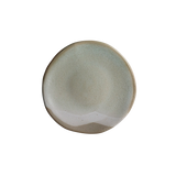 Plate 5"