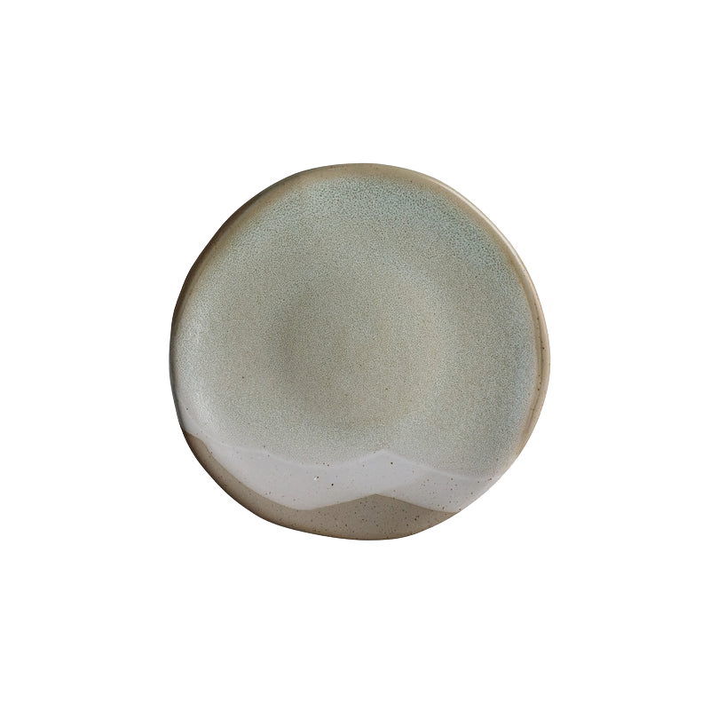 Plate 5"