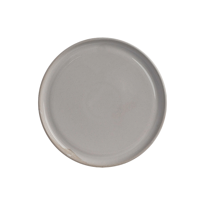 Plate 8"
