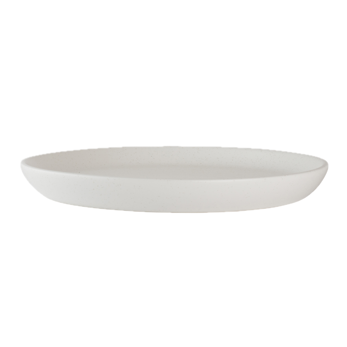 Plate 10.5"