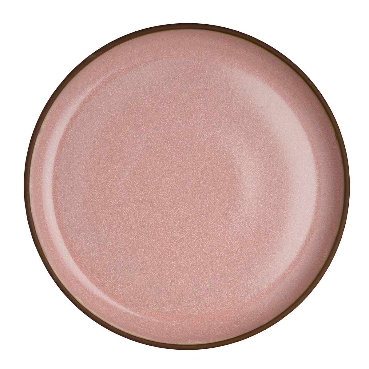 Plate 9.5"