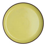 Plate 9.5"
