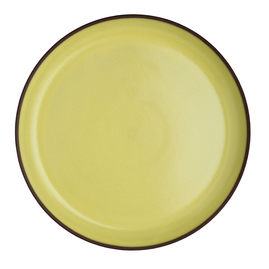 Plate 9.5"