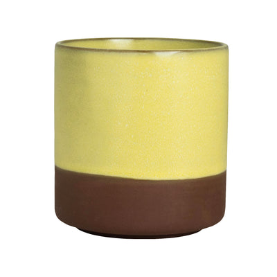 Cup 8.5 oz