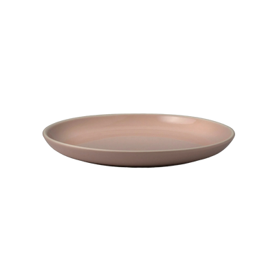 Plate 10