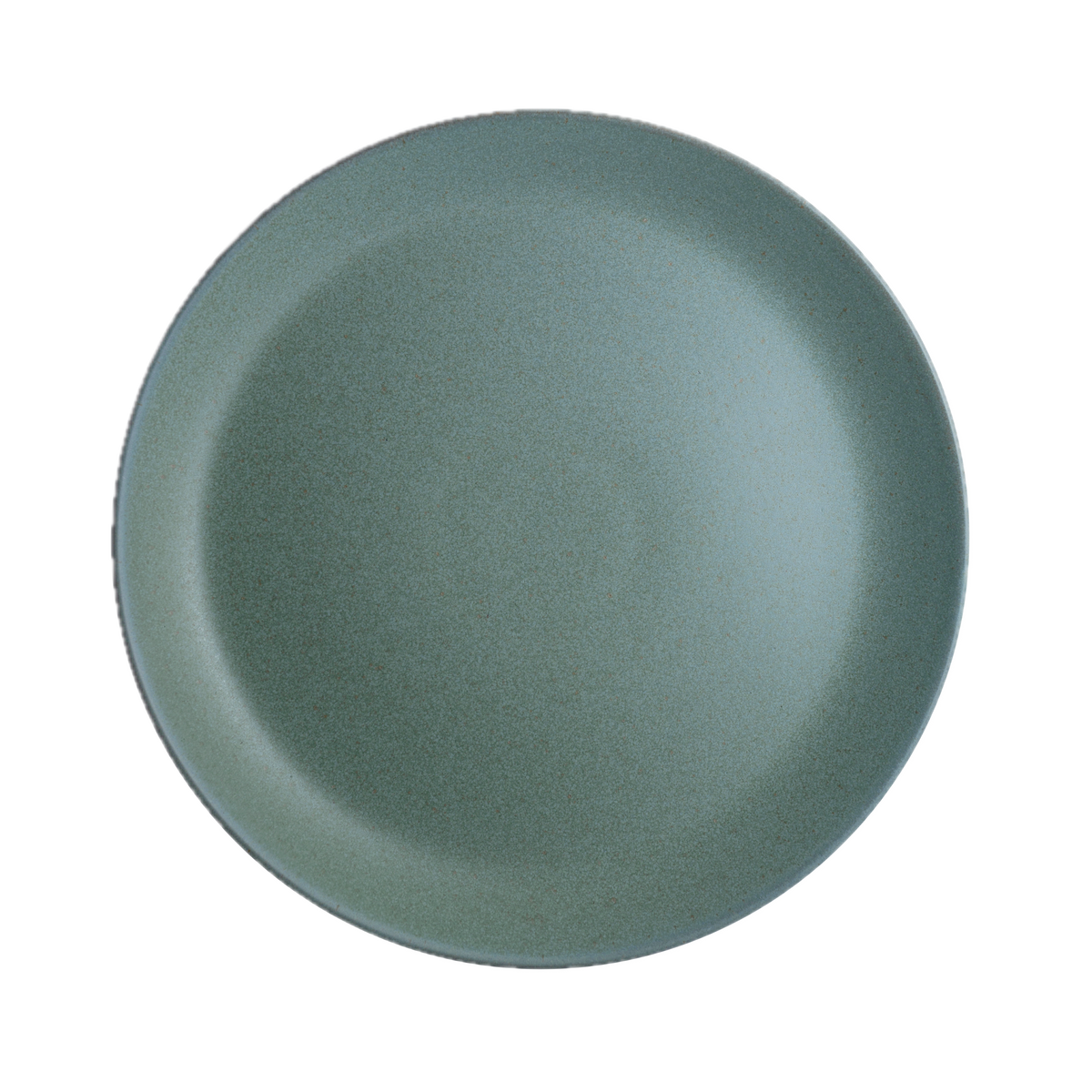 Coupe Plate 10 5/8"
