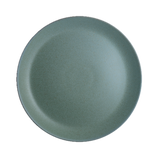 Coupe Plate 10 5/8"