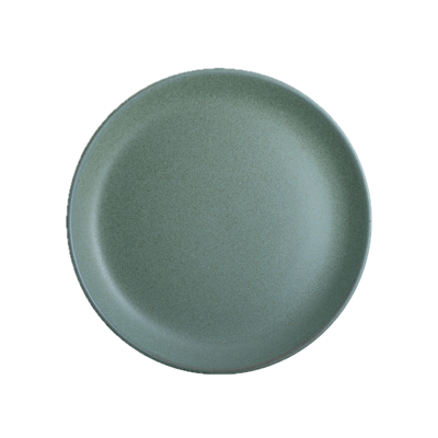 Coupe Plate 8 5/8