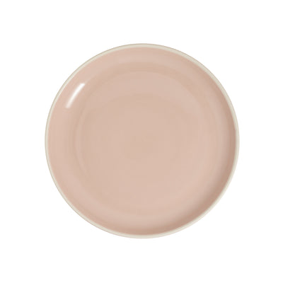 Plate 10