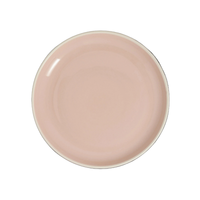 Plate 10