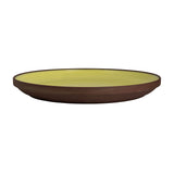 Plate 9.5"
