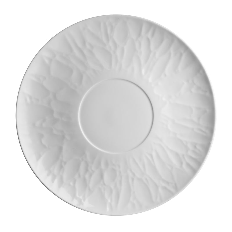 11.25" Gourmet Plate 4.5" Well