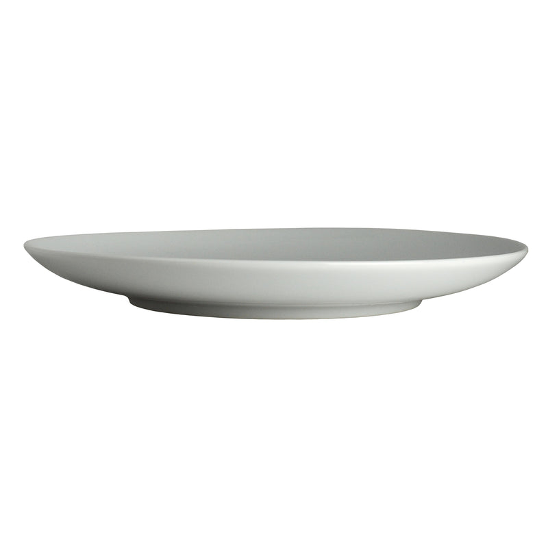 Plate 9 1/2"